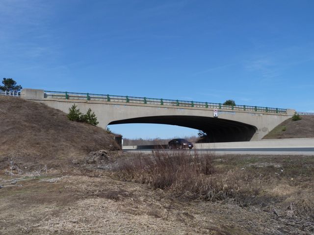 Elgin Road Bridge