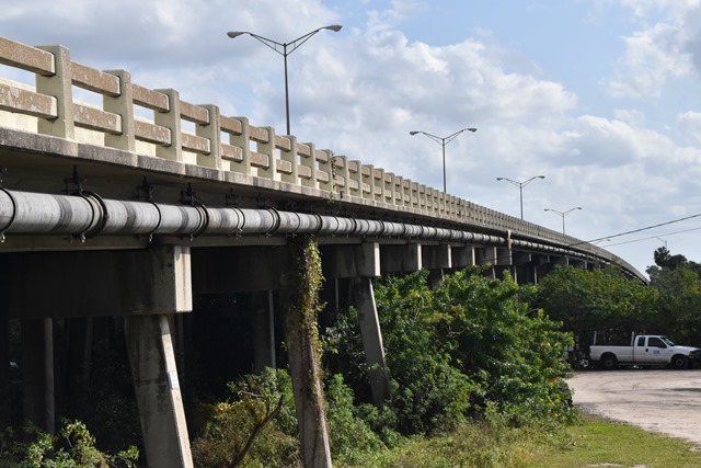 Doyle E. Carlton Bridge