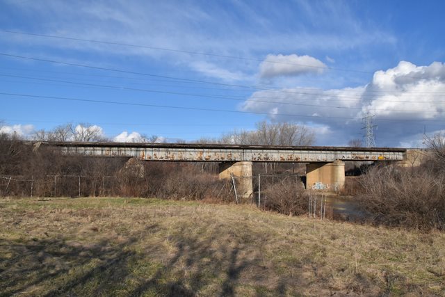 Flint River and East Boulevard Railroad Bridge
