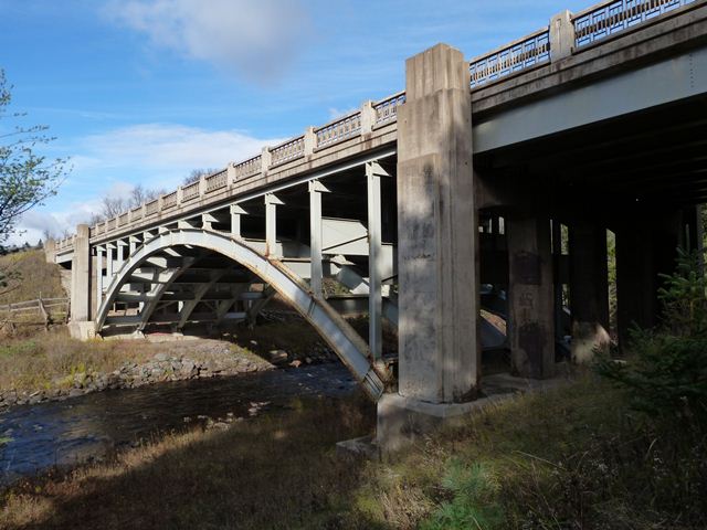 Canyon Falls Bridge