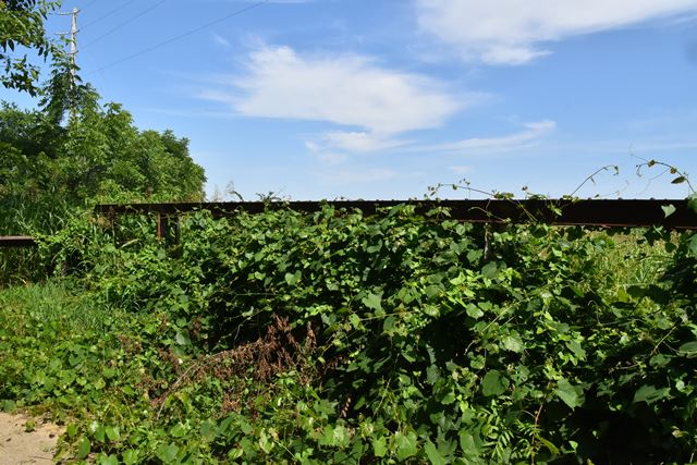 Old OK-104 Bridge