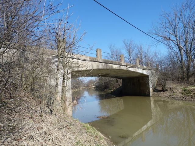 Roy Bridge