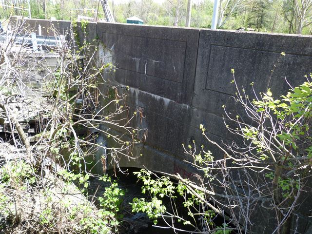 Brownsville Road Bridge