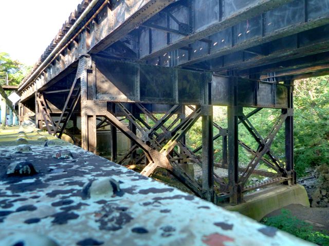 Duck Hollow Railroad Bridge